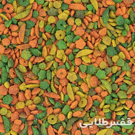 پلت ورسلاگا  P19 Tropical