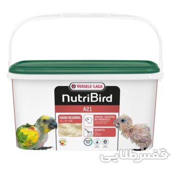 سرلاک ورسلاگا A21