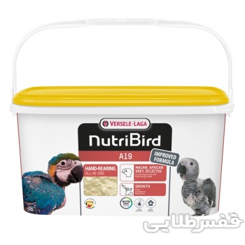 سرلاک ورسلاگا A19