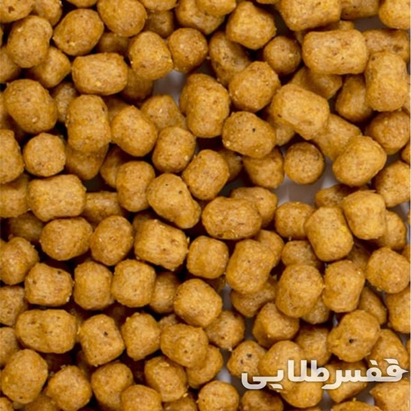 پلت طوطی روزانه سیتاکوس