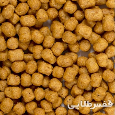 پلت طوطی روزانه سیتاکوس