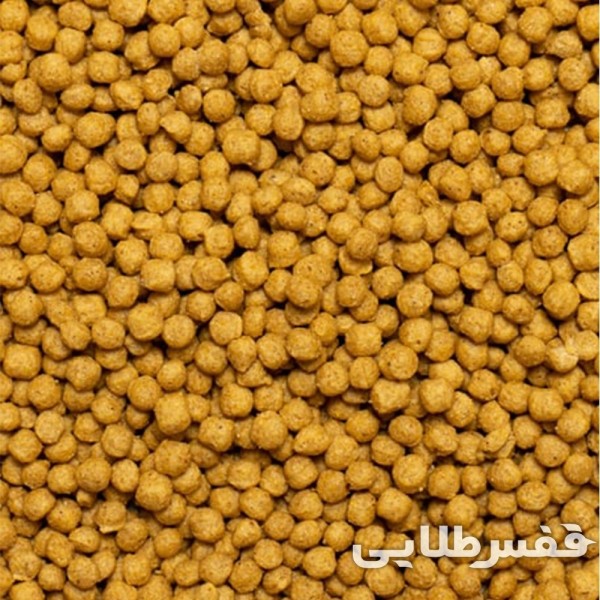 پلت طوطی مینی سیتاکوس