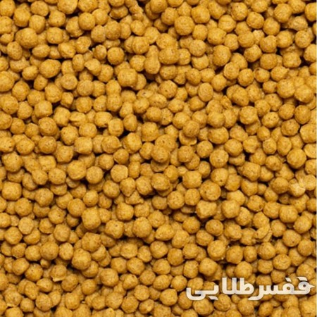 پلت طوطی مینی سیتاکوس