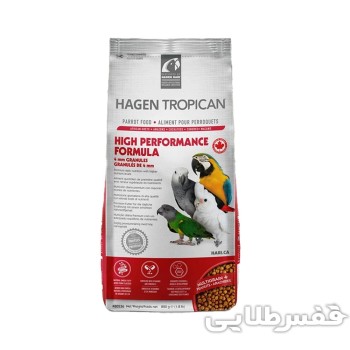 پلت تقویتی طوطی هاگن سایز متوسط