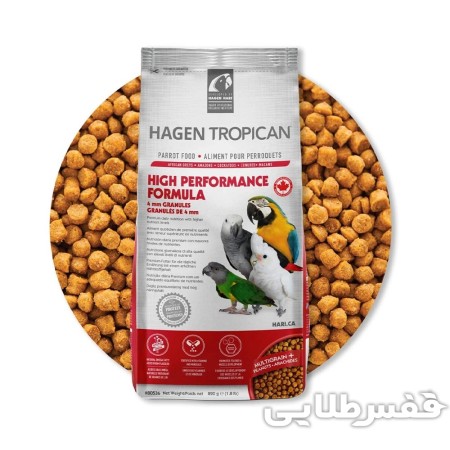 پلت تقویتی طوطی هاگن سایز متوسط