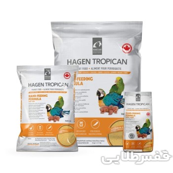 سرلاک طوطی هاگن