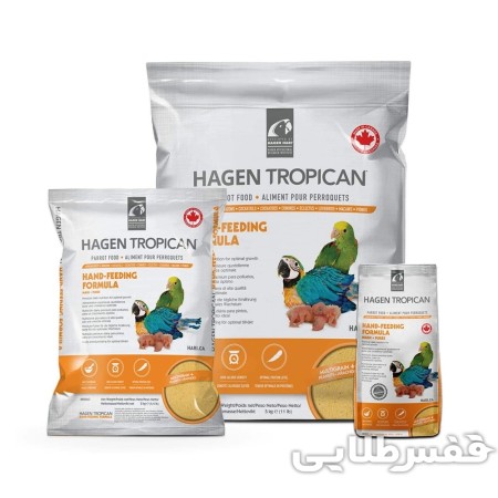 سرلاک طوطی هاگن