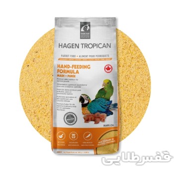 سرلاک طوطی هاگن 2