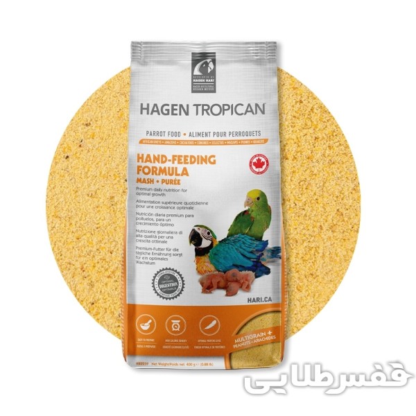 سرلاک طوطی هاگن