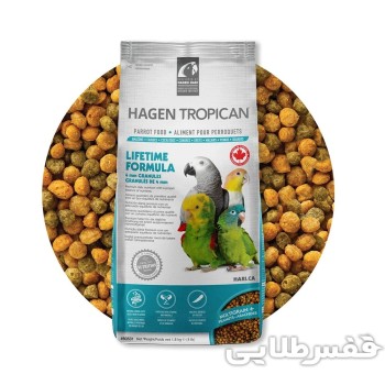 پلت روزانه طوطی هاگن سایز متوسط 2