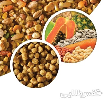 غذای آجیلی طوطی های کوچک جثه هاگن 2