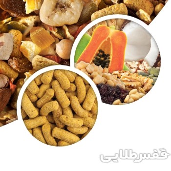 غذای آجیلی طوطی های بزرگ هاگن 2