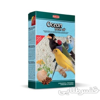 شن صدف پادوان Ocean fresh air