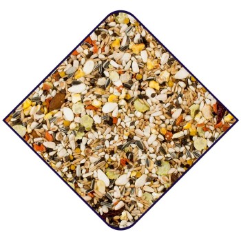 دان مخلوط طوطی کاسکویی وایت مولن 2