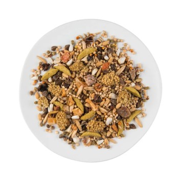 دان مخلوط طوطی برزیلی PUUR 2