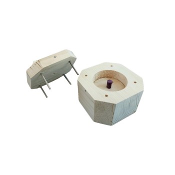 دانخوری فکری پرندگان