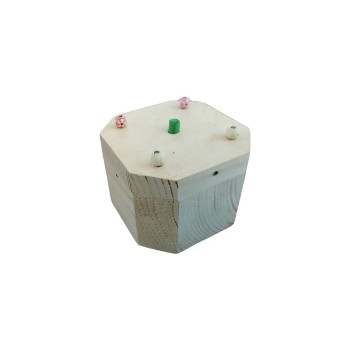 دانخوری فکری پرندگان 2