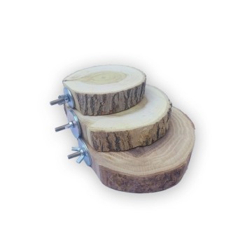 نشیمن استراحتگاه پرنده