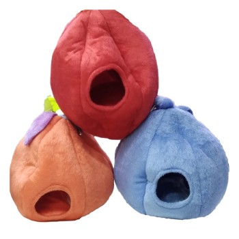 مخفیگاه طوطی برزیلی 2