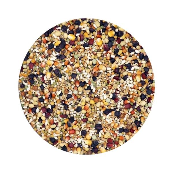 مخلوط ذرت سیاه ورسلاگا