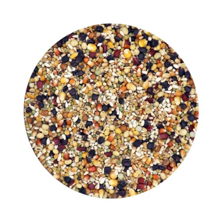 مخلوط ذرت سیاه ورسلاگا