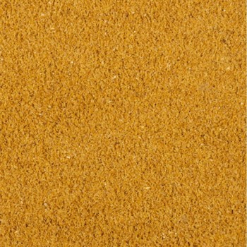 سرلاک طوطی پروت سیتاکوس 2