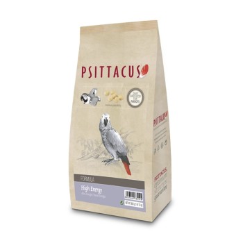 پلت طوطی سیتاکوس مدل های انرژی