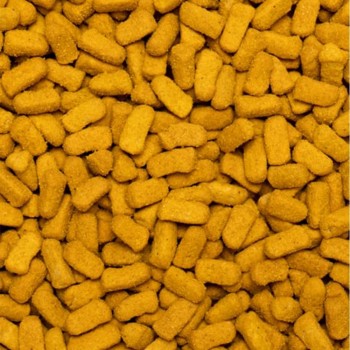 پلت طوطی امگا سیتاکوس 2