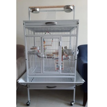 قفس بزرگ عروس هلندی