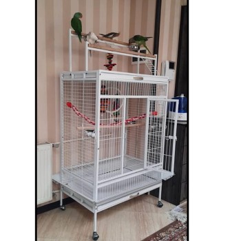 قفس کاسکویی بزرگ 90 سانت طول