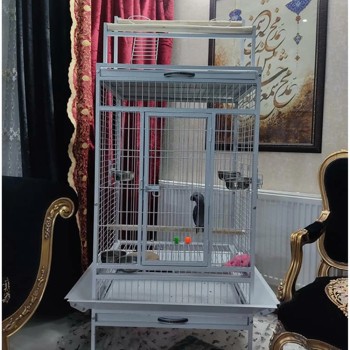 قفس کاسکو طول 70سانت