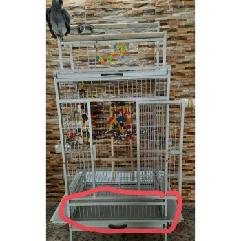 قفس کاسکو طول 70سانت 2