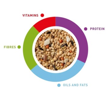 سان میکس قناری 2