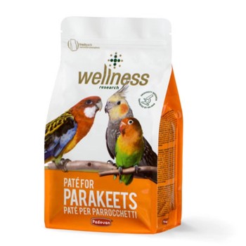 مکمل نرم غذایی عروس هلندی