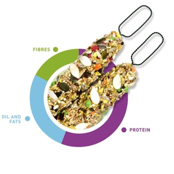 استیک تشویقی طوطی پادوان 2