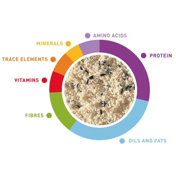 غذای ویتامینه پرندگان زینتی 2
