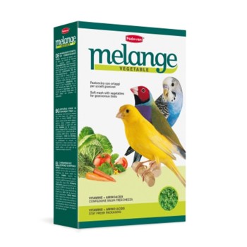 مکمل سبزیجات پادوان