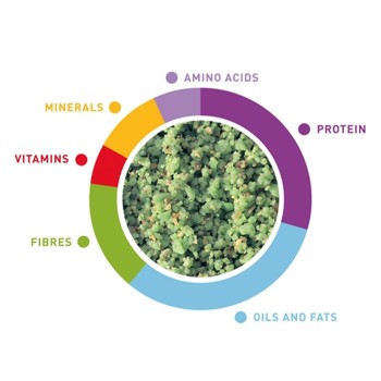مکمل سبزیجات پادوان 2