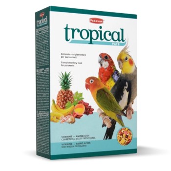 غذا مرغ عشق تروپیکال  پادوان