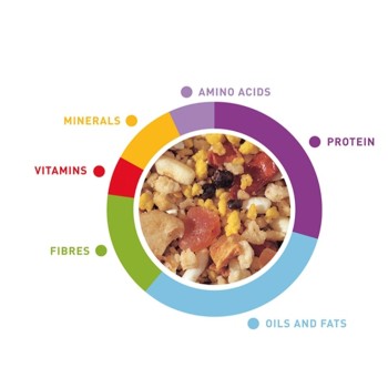 غذا مرغ عشق تروپیکال  پادوان 2