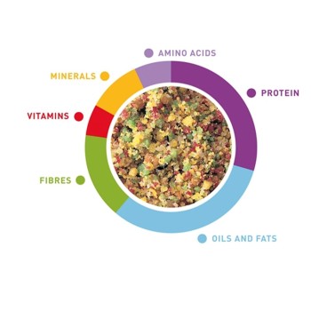 گرانول میوه ای طوطی پادوان 2