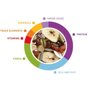 دان مخلوط ولنس پادوان کاسکو 2