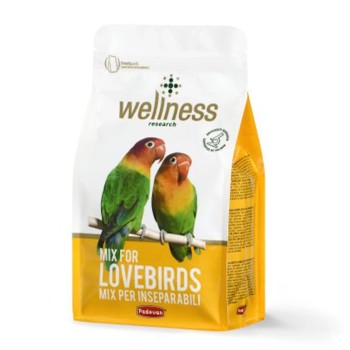 دان مخلوط ولنس طوطی برزیلی