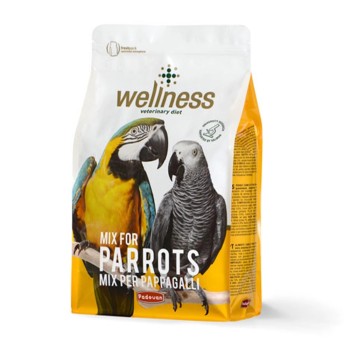 دان مخلوط ولنس پادوان کاسکو