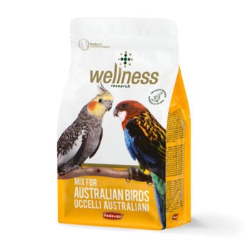 دان مخلوط ولنس پادوان عروس هلندی