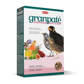 غذای مرغ مینا میکس میوه و عسل