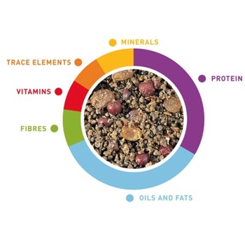 غذای مرغ مینا میکس میوه و عسل 2