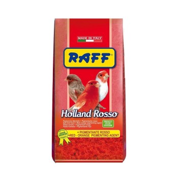 خوراک نرم قرمز هلند روسو راف