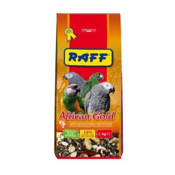 دان مخلوط کاسکویی راف