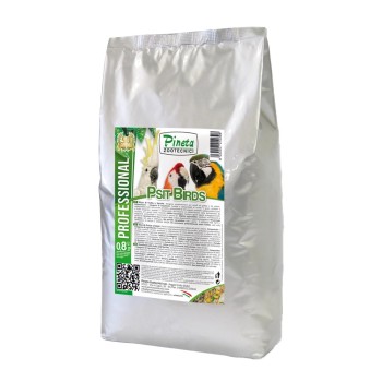 خوراک خشک همراه میوه پینتا